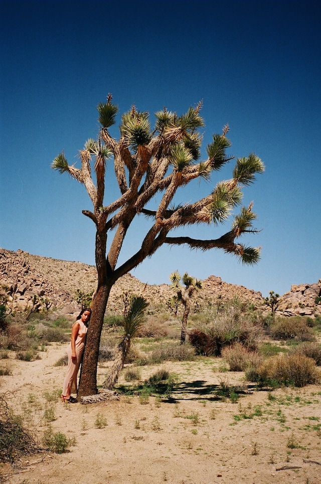 Rosaline Shahnavaz’s Something Like You 6