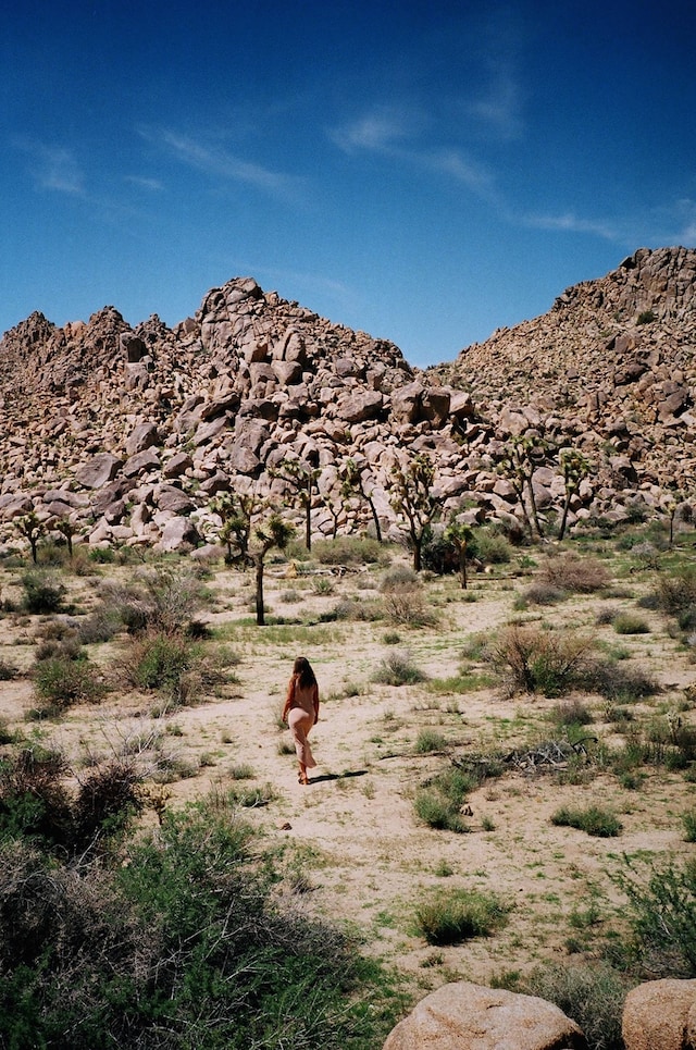 Rosaline Shahnavaz’s Something Like You 16