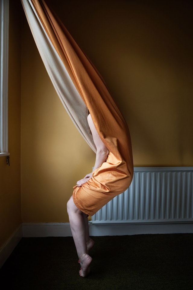 Polly Penrose 2