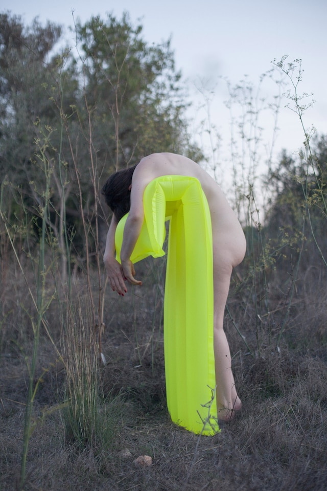 Polly Penrose 4