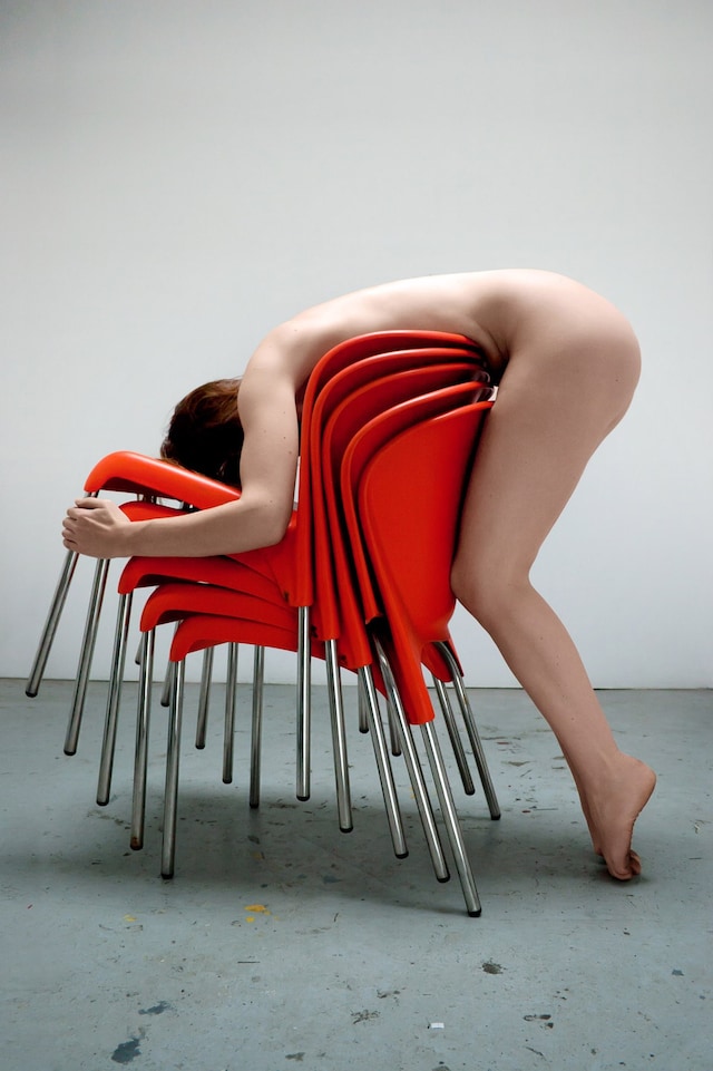 Polly Penrose 12