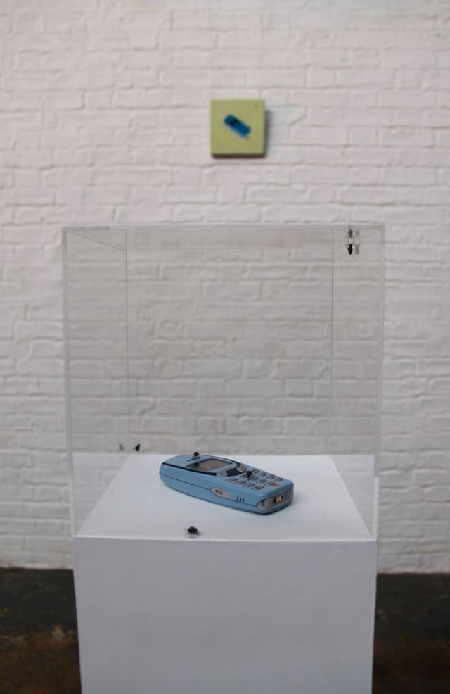 Tristan Pigott SHIT QUALITY MUSEUM PIECE 6