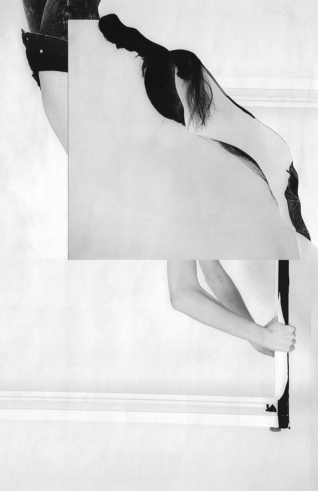 McQ Swallow by Jesse Draxler 26