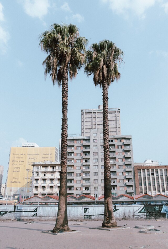 2_Kristin-Lee Moolman 11