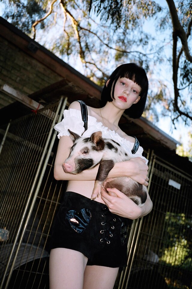 Pure Country campaign 5