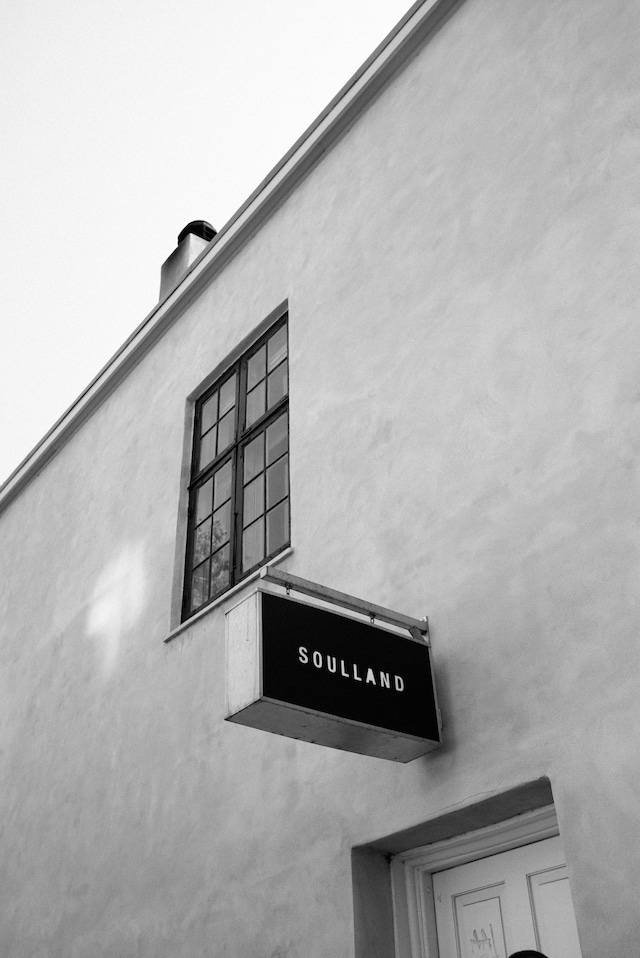 Soulland x Nike SB 9