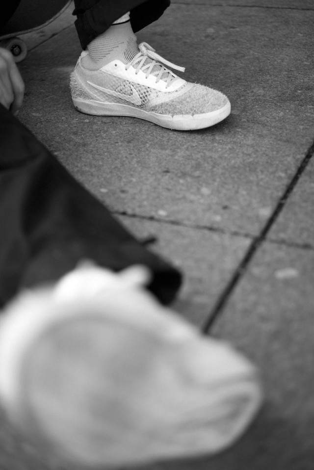 Soulland x Nike SB 27