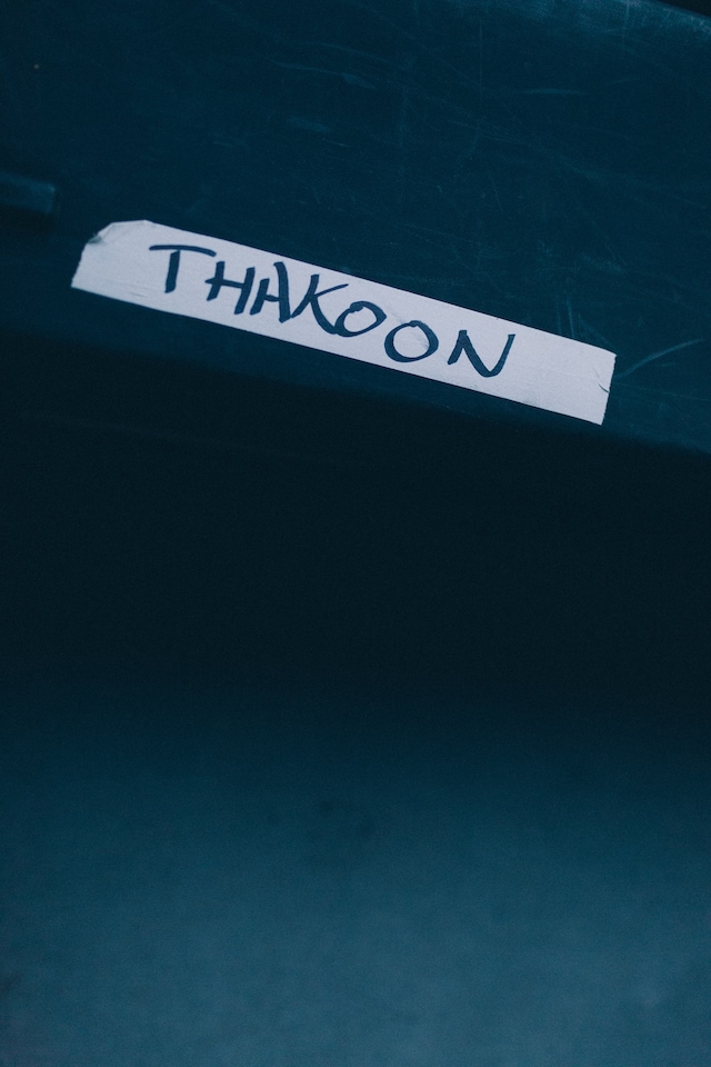 Thakoon SS17 NYFW Womenswear Dazed 19