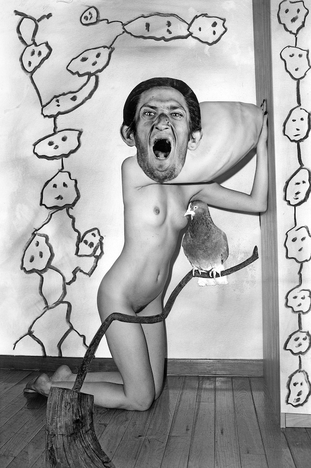 Roger Ballen and Asger Carlsen, No Joke 4