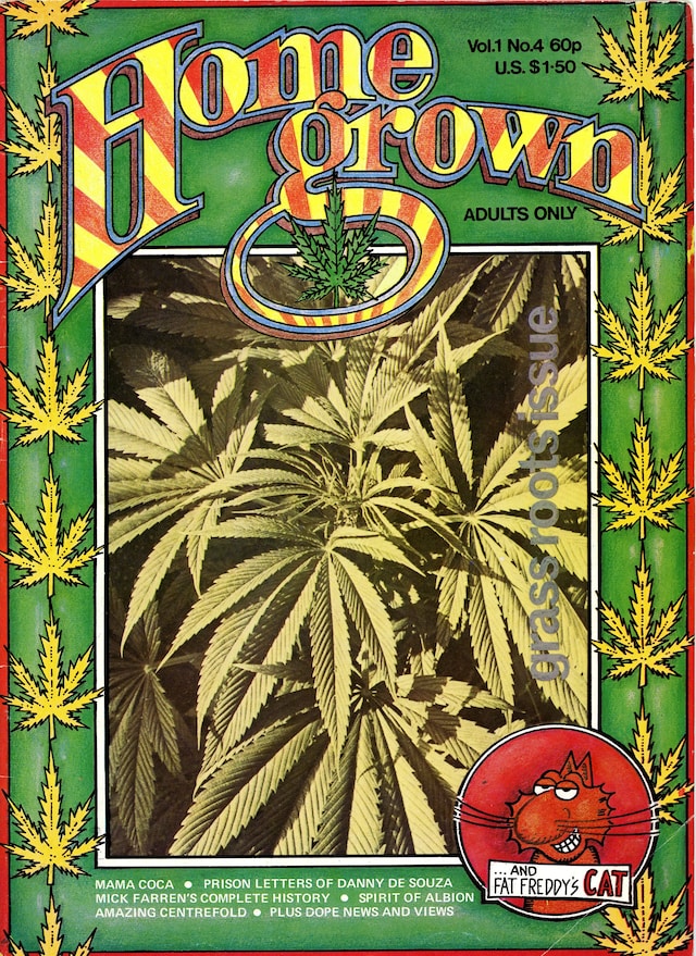 Home Grown and YOUTH CLUB 6