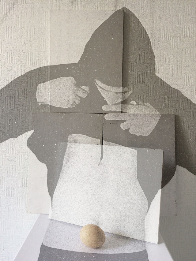 Peter De Potter’s ‘The Vanity of Certain Flowers’ 9