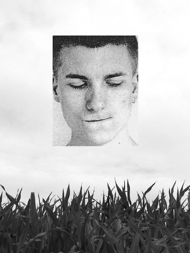 Peter De Potter’s ‘The Vanity of Certain Flowers’ 11