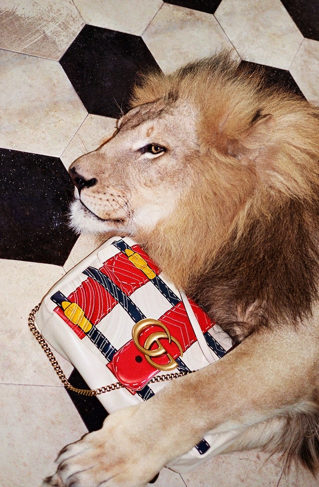 Gucci SS17 campaign Glen Luchford Alessandro Michele 11