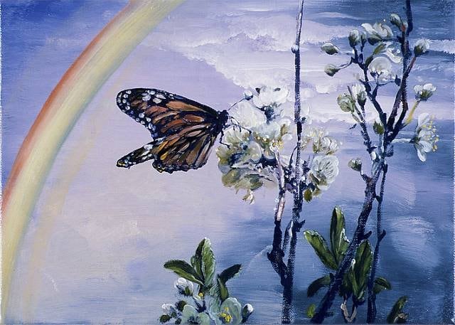 Butterfly, Masakatsu Kondo 46