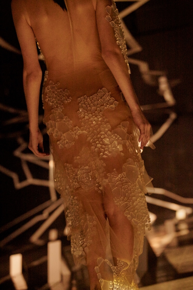 Iris Van Herpen SS17 Couture Paris Dazed 25