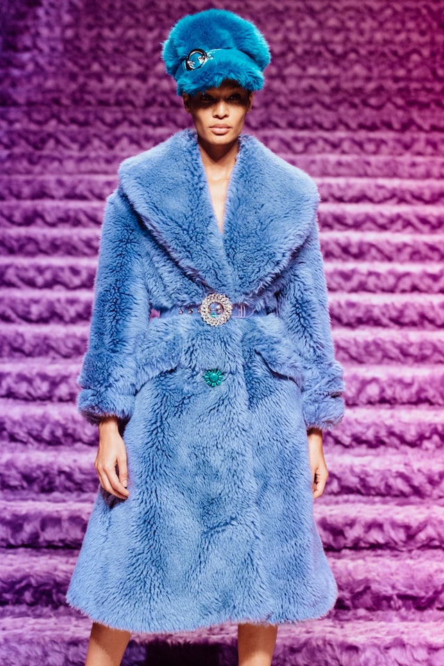 Miu Miu AW17 dazed pfw 1