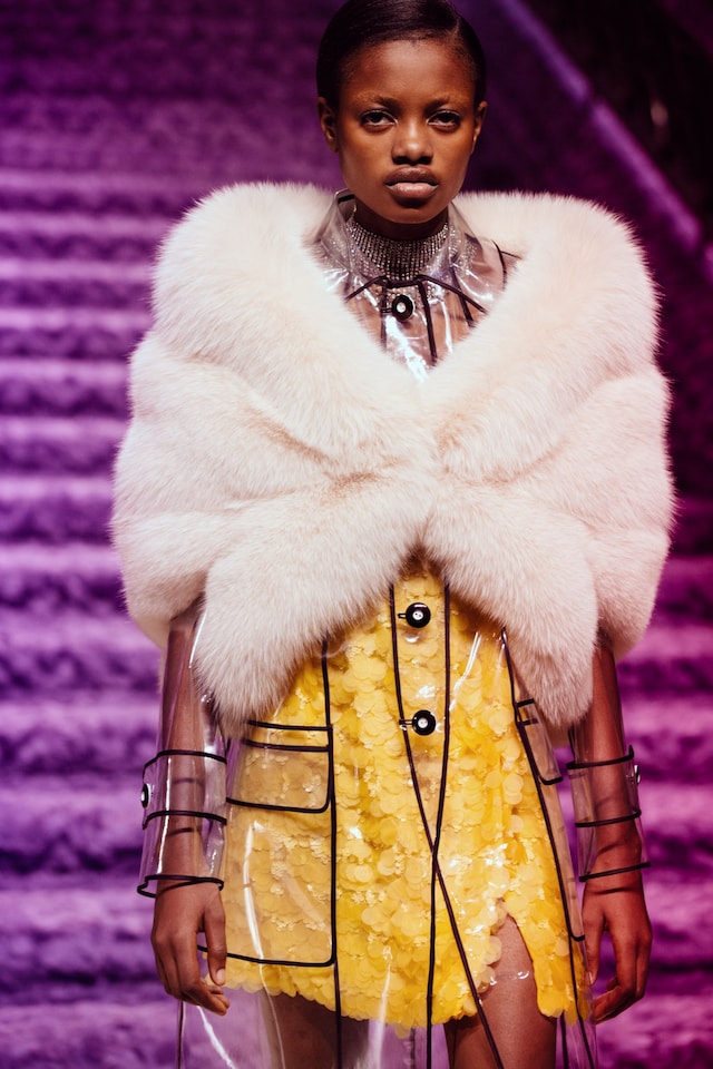 Miu Miu AW17 dazed pfw 29