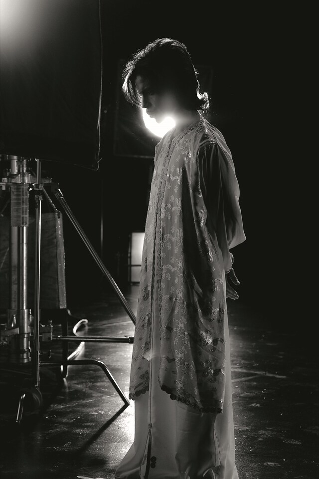 Steve Parke’s Picturing Prince 1