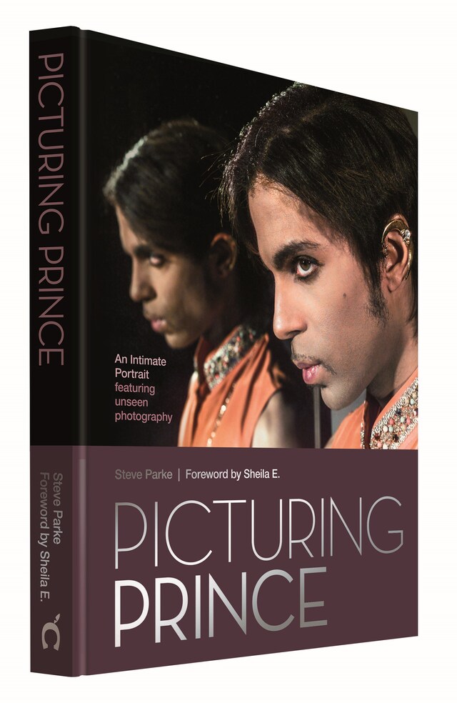 Steve Parke’s Picturing Prince 6