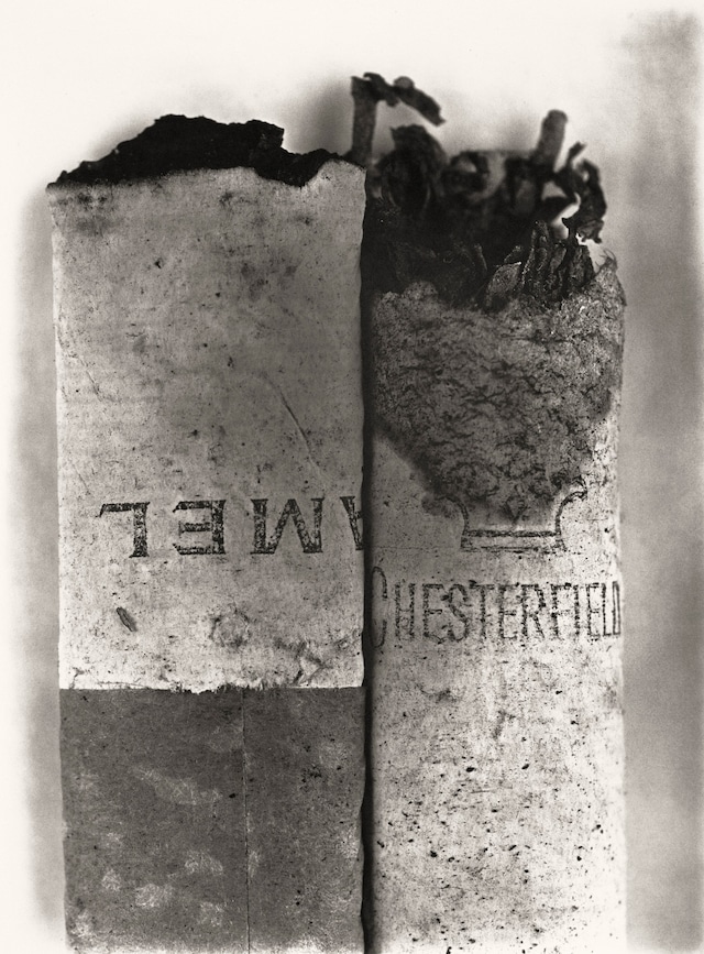 Irving Penn: Centennial 8