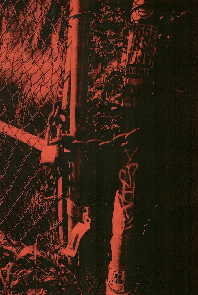 Matt Martin’s American Xerography 1