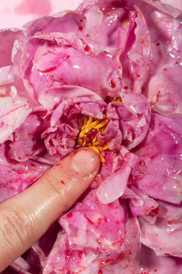 Maisie Cousins’ grass, peonie, bum 3