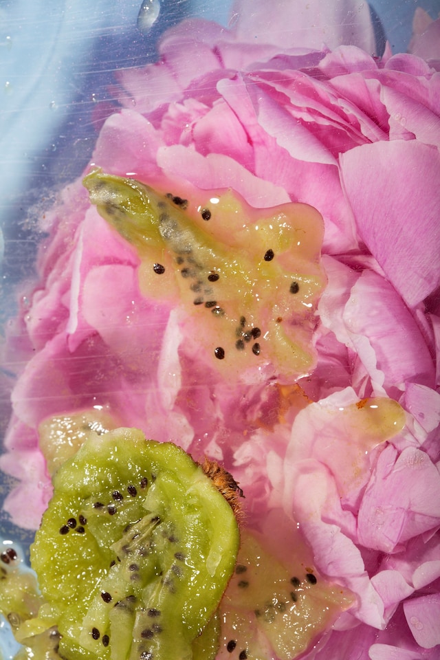 Maisie Cousins’ grass, peonie, bum 7