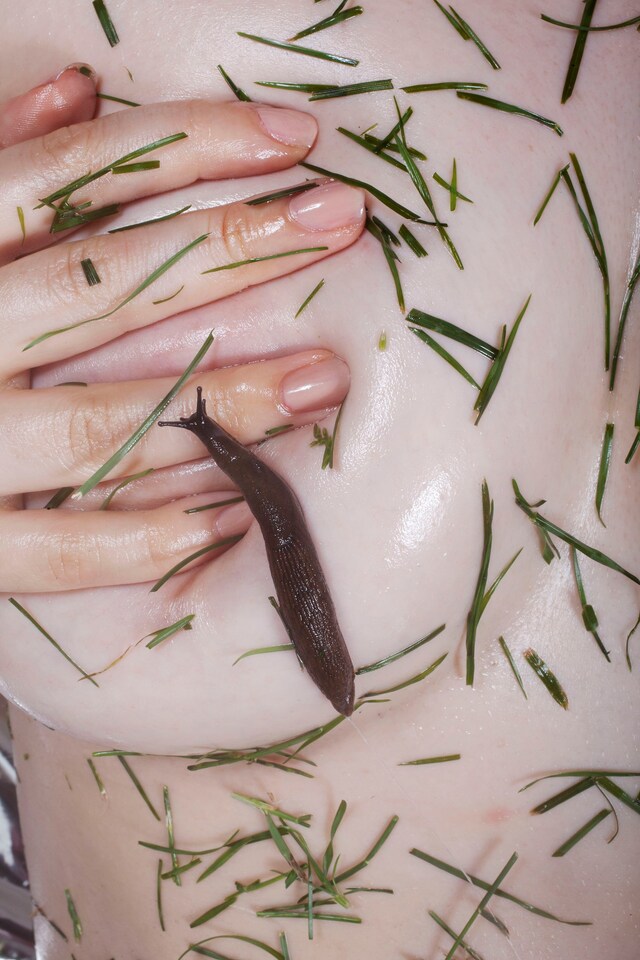 Maisie Cousins’ grass, peonie, bum 8
