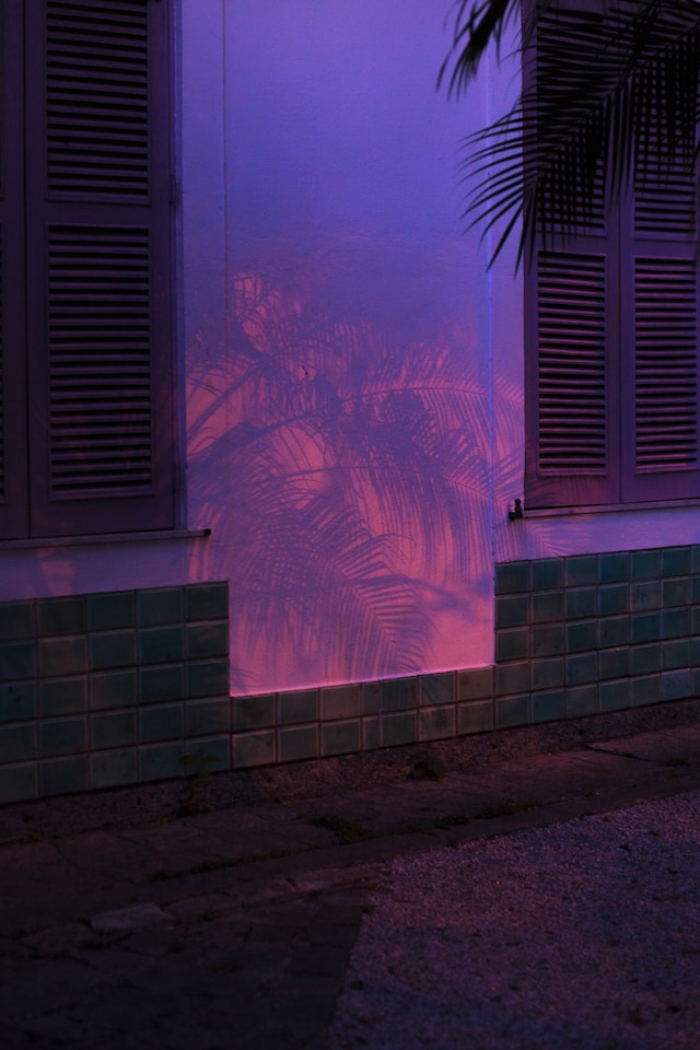 Stefanie Moshammer’s Land of Black Milk 2