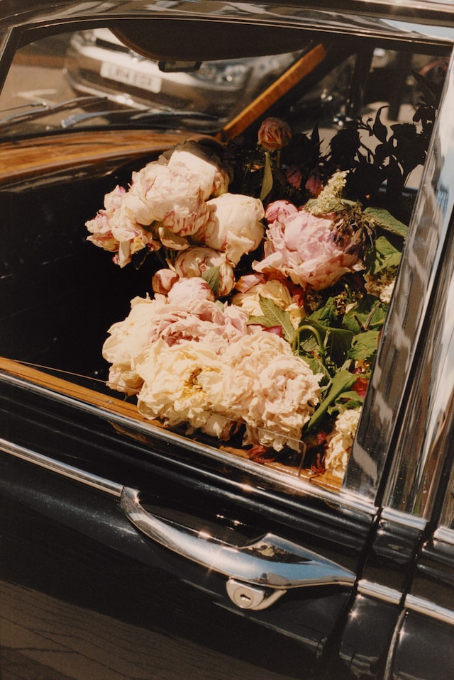 SIMONE ROCHA T-SHIRTS flowers cars jacob lillis 9