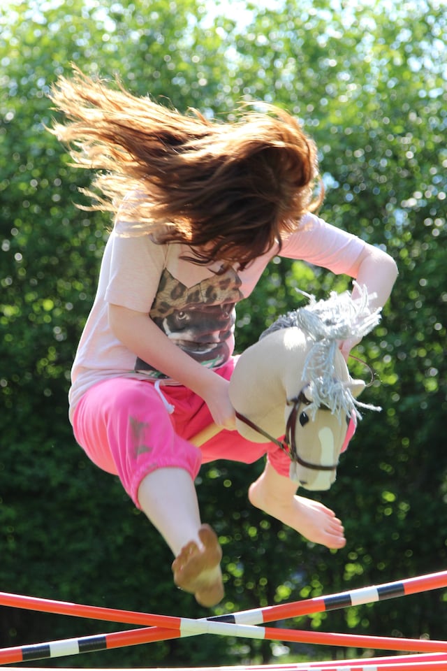 Hobbyhorse 4