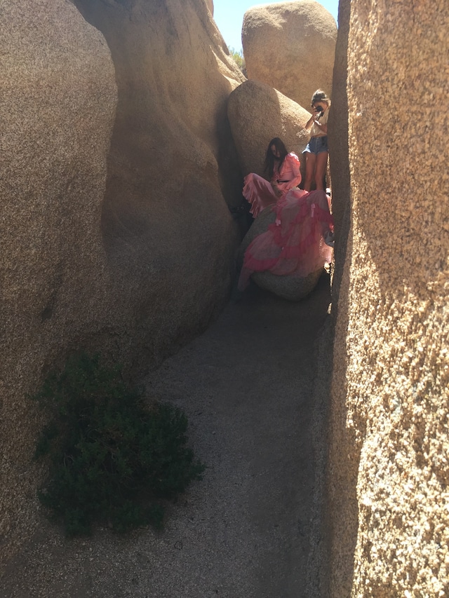 Joshua Tree_Natalie Ziering_3 10