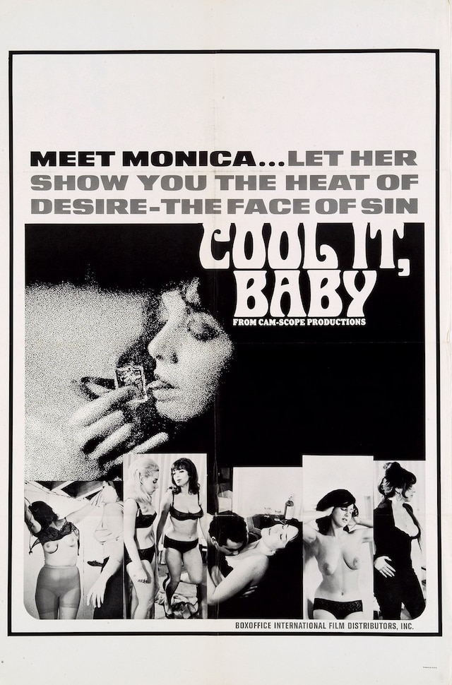 X-Rated Adult Films of the 60s and 70s 3