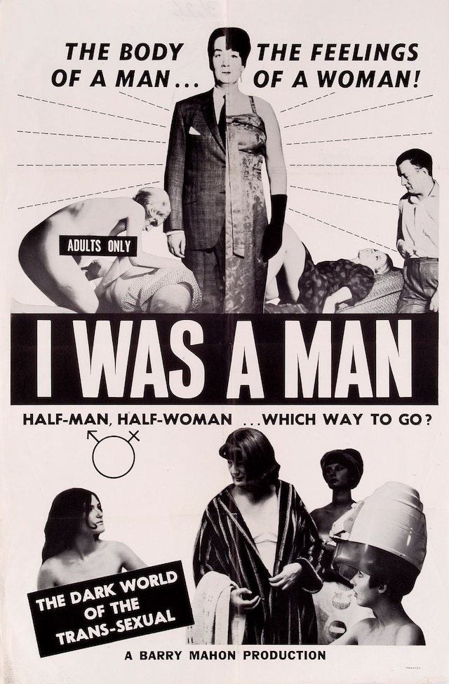 X-Rated Adult Films of the 60s and 70s 9
