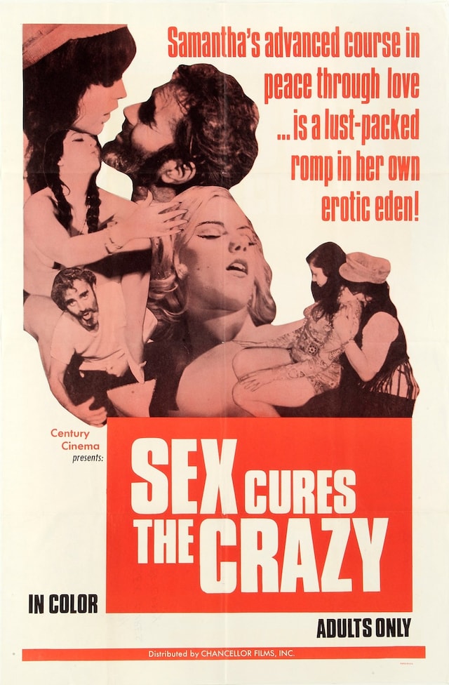 X-Rated Adult Films of the 60s and 70s 12