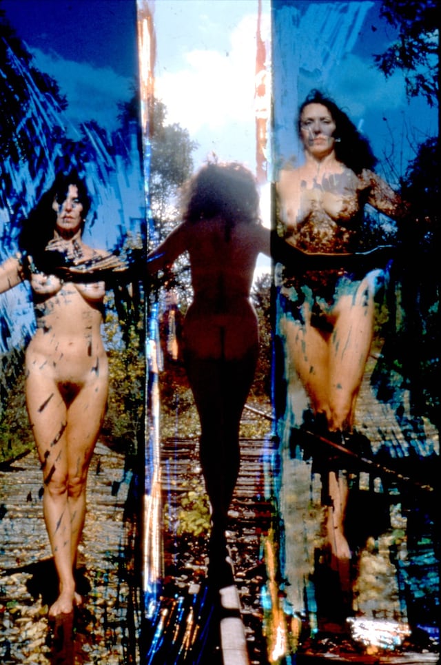 Carolee Schneemann at PS1 3