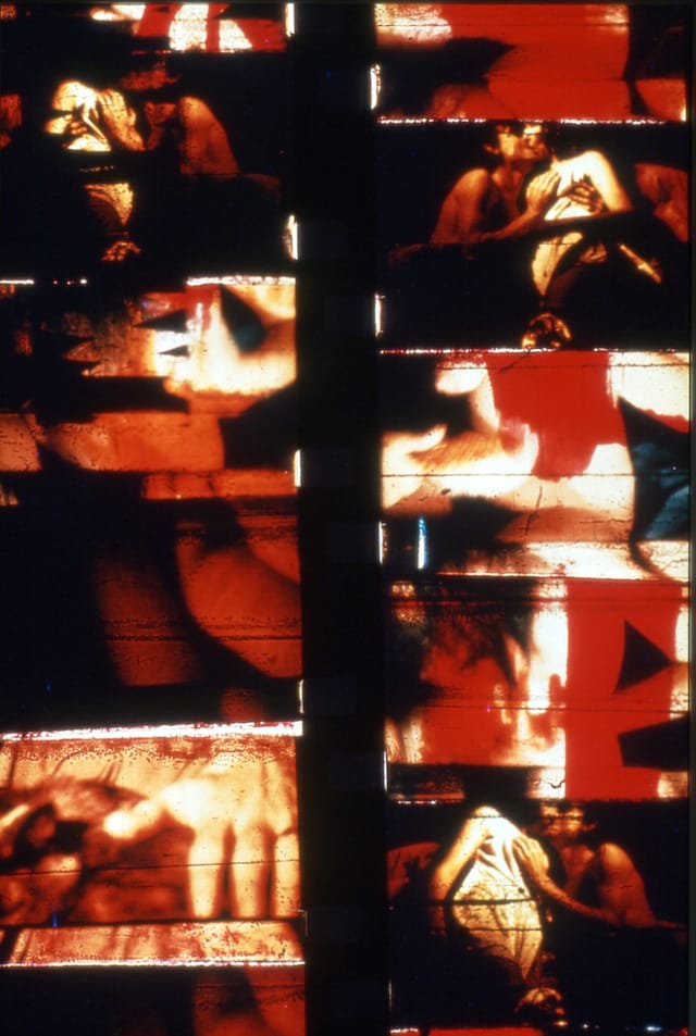 Carolee Schneemann at PS1 9
