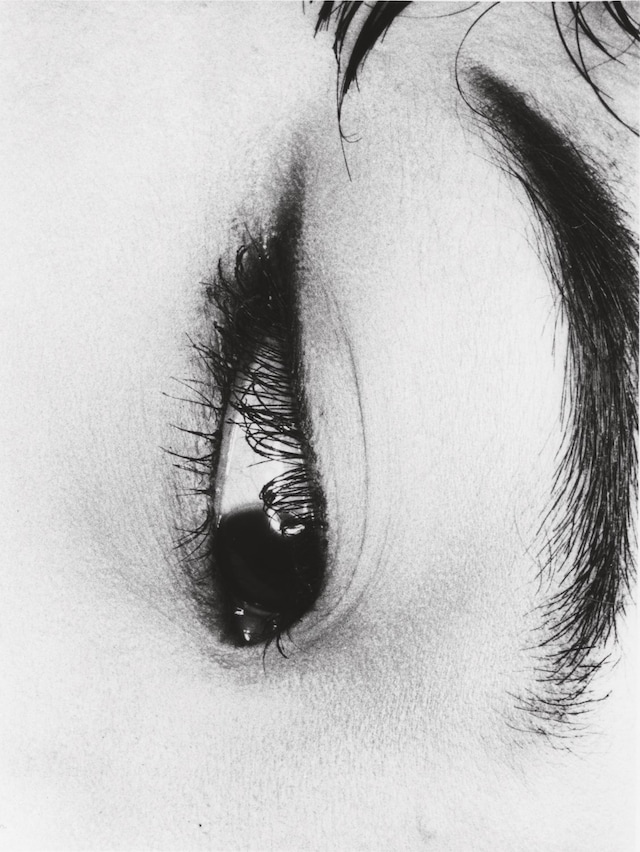 The Art of the Erotic 3