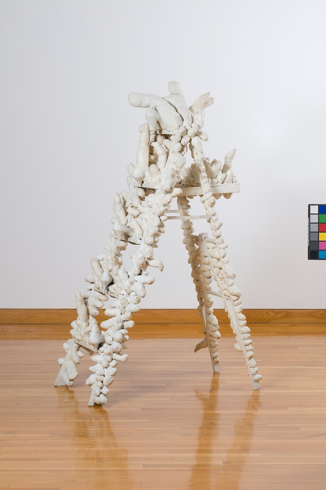 Delirious Art: Art at the Limit of Reasons 13