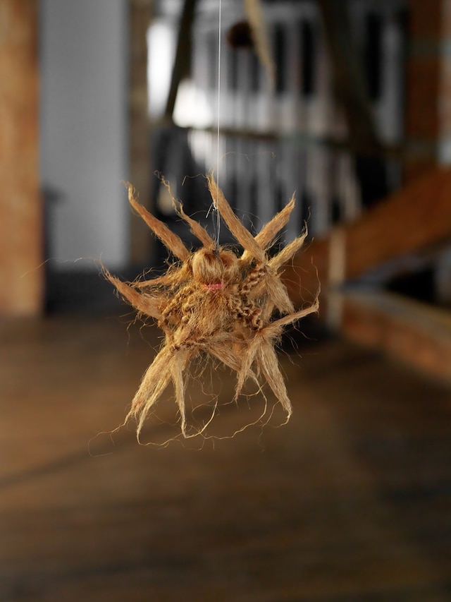 Nan Goldin and Kathleen White at Pioneer Works 6