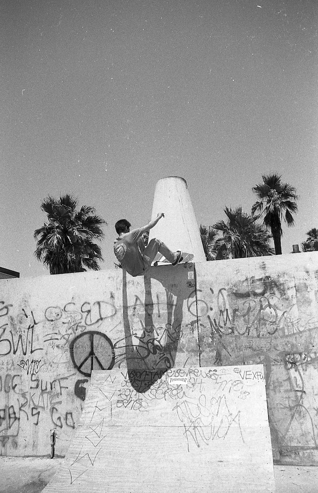 venice los angeles skate 80s 90s 10