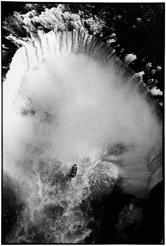 Zoe Leonard: Survey 3