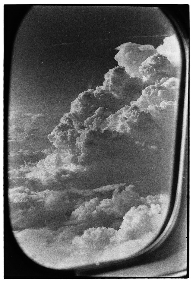 Zoe Leonard: Survey 9