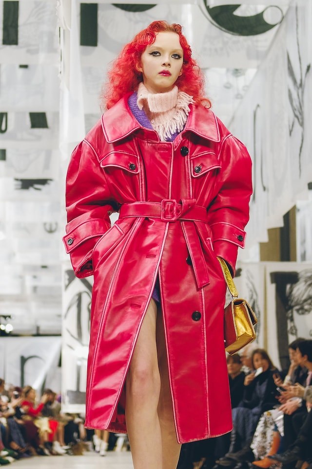 miu miu aw18 fw18 aw18 paris fashion week pfw elle fanning 5