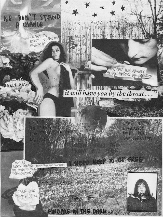 Chloe Sheppard’s All Flowers In Time Bend Towards The Sun 7