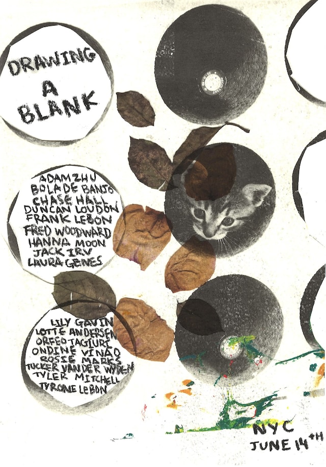 Drawing A Blank, New York 14