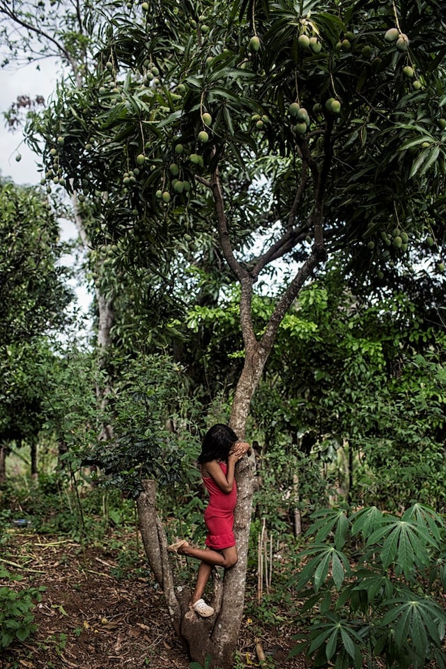 Nadia Shira Cohen’s El Salvador 10