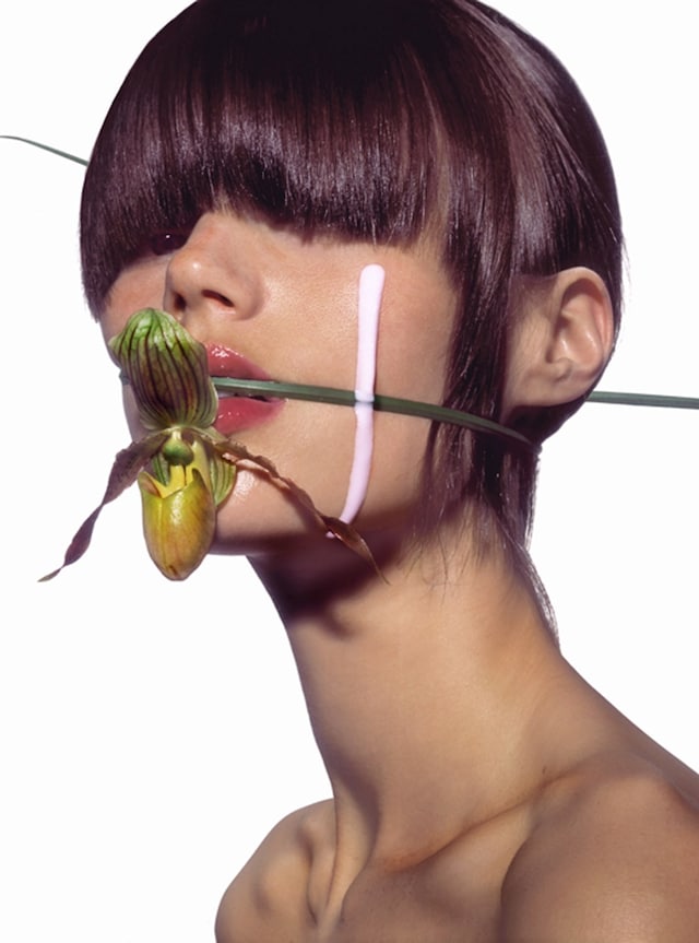 DT-WEBCHR_orchid mouth 0