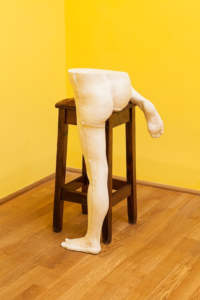 Sarah Lucas – Au Naturel 12