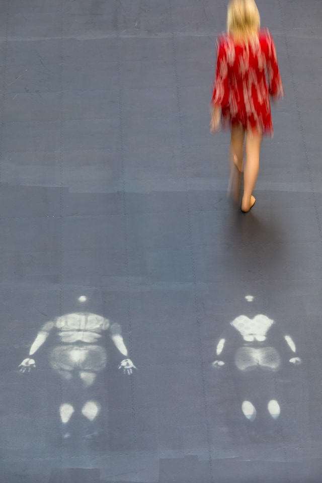 Tania Bruguera 0